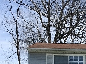 3336 Northway Dr Erlanger, KY 41018